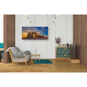 'Kansas Gold' by Darren White, Canvas Wall Art,20 x 40