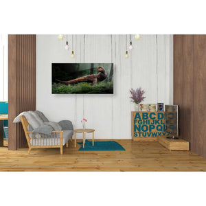 'Carnotaurus' Canvas Wall Art,20 x 40