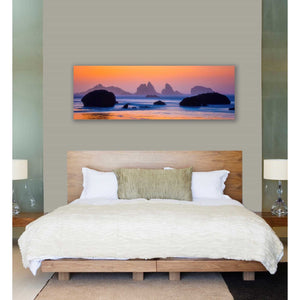 'Final Moments' by Darren White, Canvas Wall Art,20 x 60