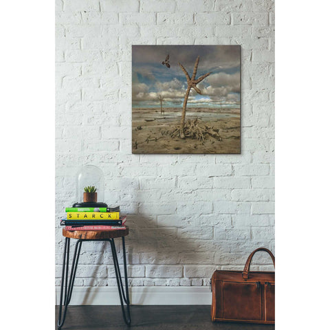 Image of 'Wetlands' by Dariusz Klimczak, Canvas Wall Art,26x26