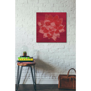'Boho Succulent Red' by Linda Woods, Canvas Wall Art,26 x 26