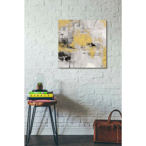 'Stone Gardens III Yellow' by Silvia Vassileva, Canvas Wall Art,26 x 26