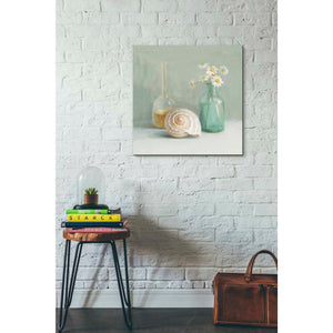 'Chamomile Spa' by Danhui Nai, Canvas Wall Art,26 x 26
