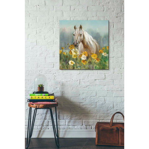 Image of 'Farm and Field II Crop' by Danhui Nai, Canvas Wall Art,26 x 26