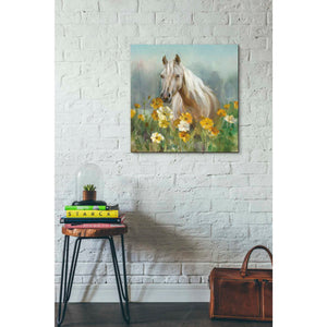 'Farm and Field II Crop' by Danhui Nai, Canvas Wall Art,26 x 26