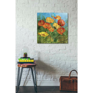 'Summer Field IV' by Danhui Nai, Canvas Wall Art,26 x 26