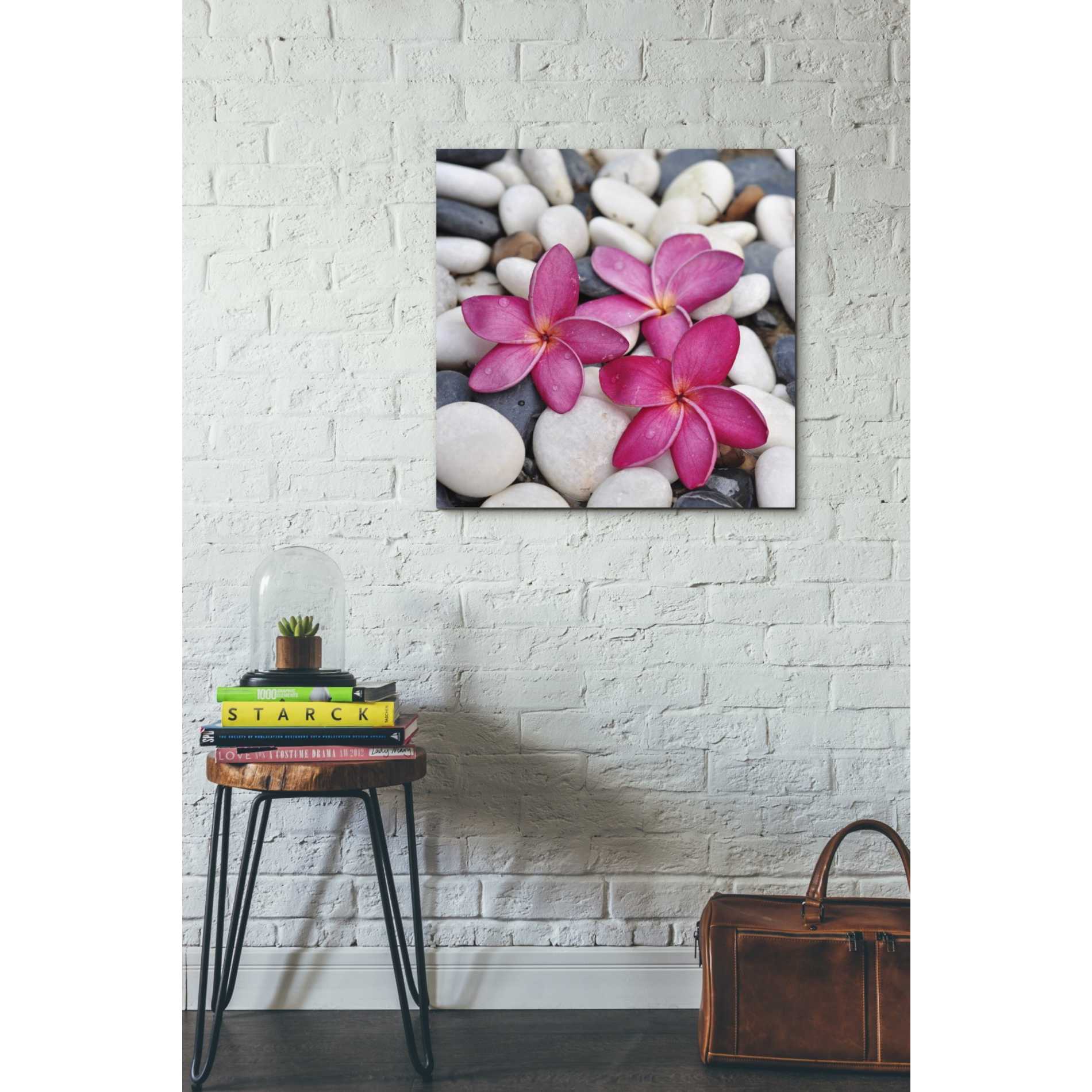 'Shintai II' Canvas Wall Art,26 x 26