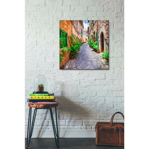 Image of 'Vecino I' Canvas Wall Art,26 x 26