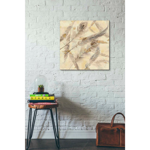 Image of 'Falling Feathers' by Albena Hristova, Canvas Wall Art,26 x 26