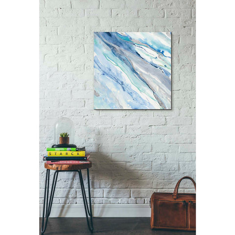 Image of 'Silver Spring II' by Albena Hristova, Canvas Wall Art,26 x 26