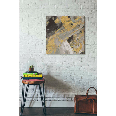 Image of 'Moab Gold and Black' by Albena Hristova, Canvas Wall Art,26 x 26