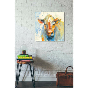'Happy Cows II' by Albena Hristova, Canvas Wall Art,26 x 26