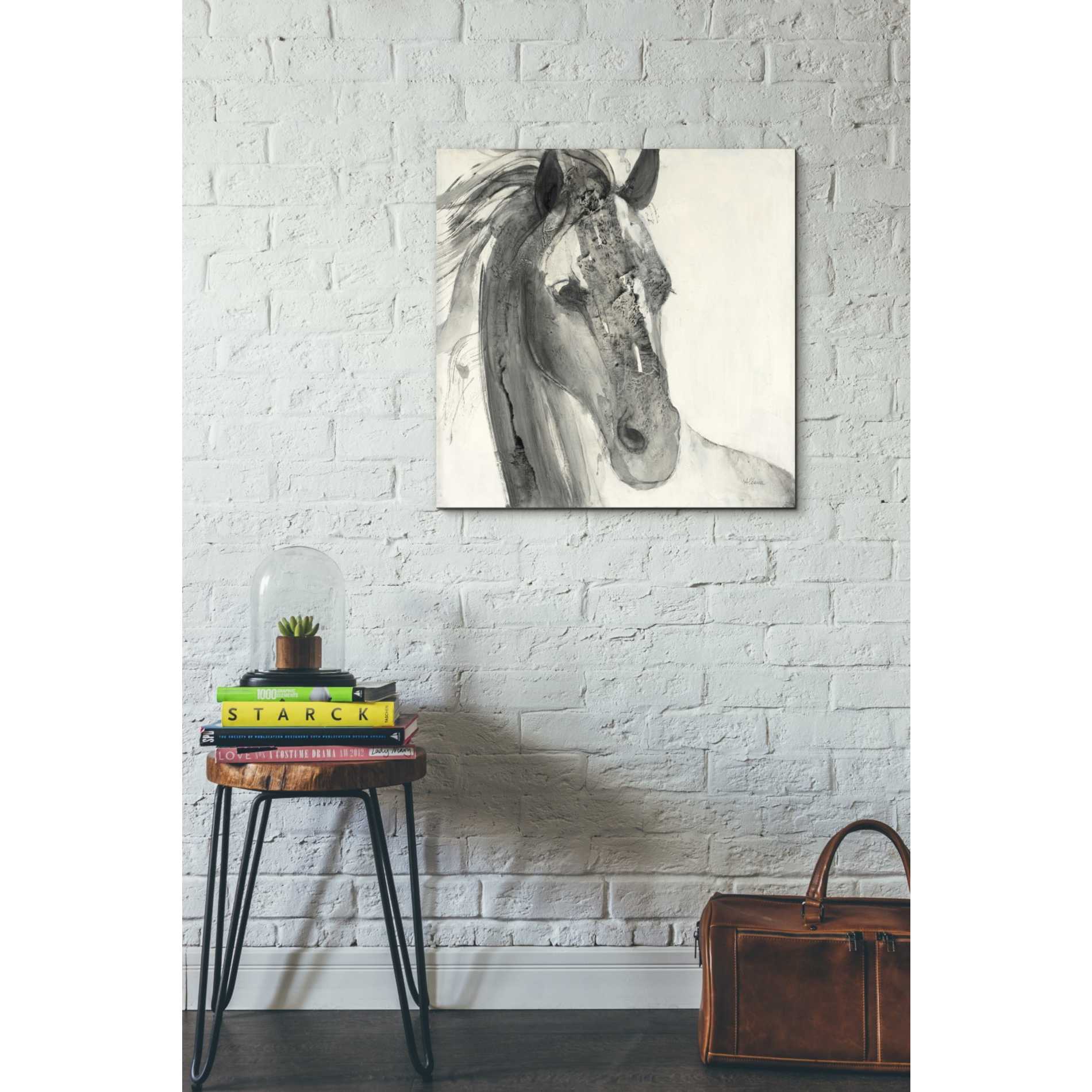 'In the Wind I' by Albena Hristova, Canvas Wall Art,26 x 26