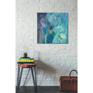 'Moonlight Garden' by Albena Hristova, Canvas Wall Art,26 x 26