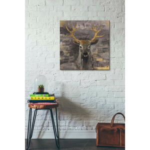 'The Leader Gold' by Albena Hristova, Canvas Wall Art,26 x 26