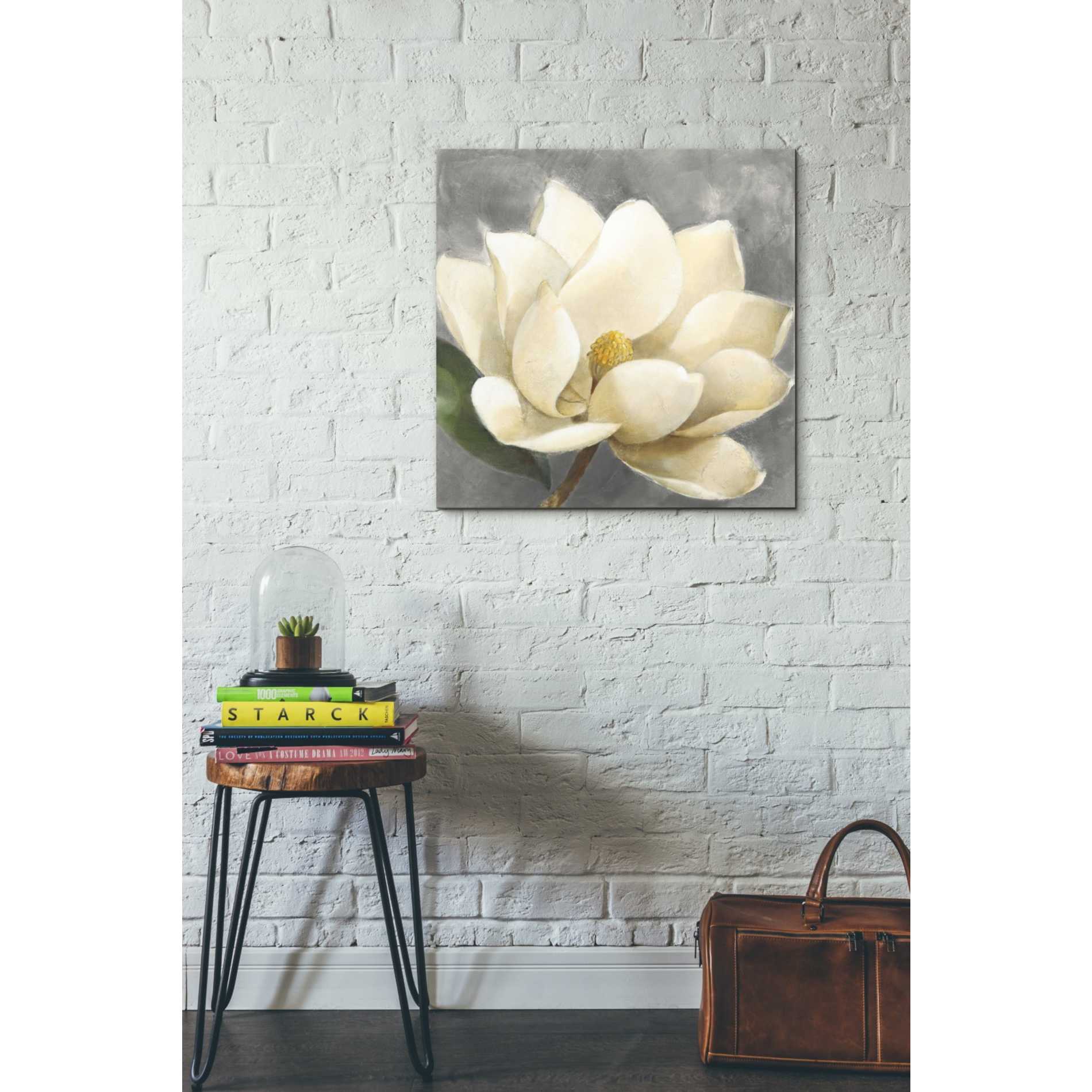 'Magnolia Blossom on Gray' by Albena Hristova, Canvas Wall Art,26 x 26