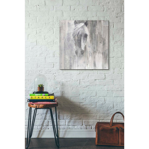 Image of 'Shadow Gray' by Albena Hristova, Canvas Wall Art,26 x 26