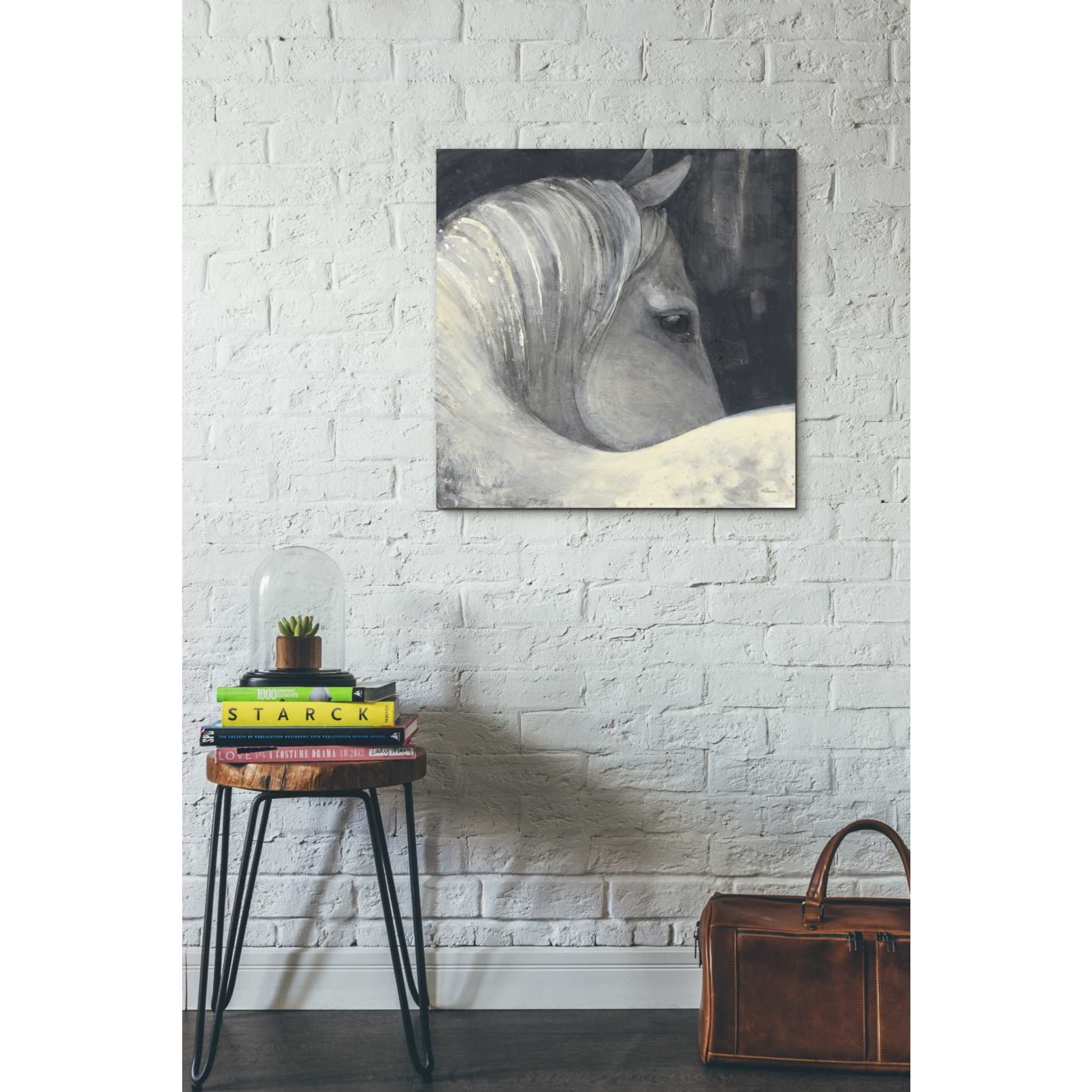 'Bijou' by Albena Hristova, Canvas Wall Art,26 x 26