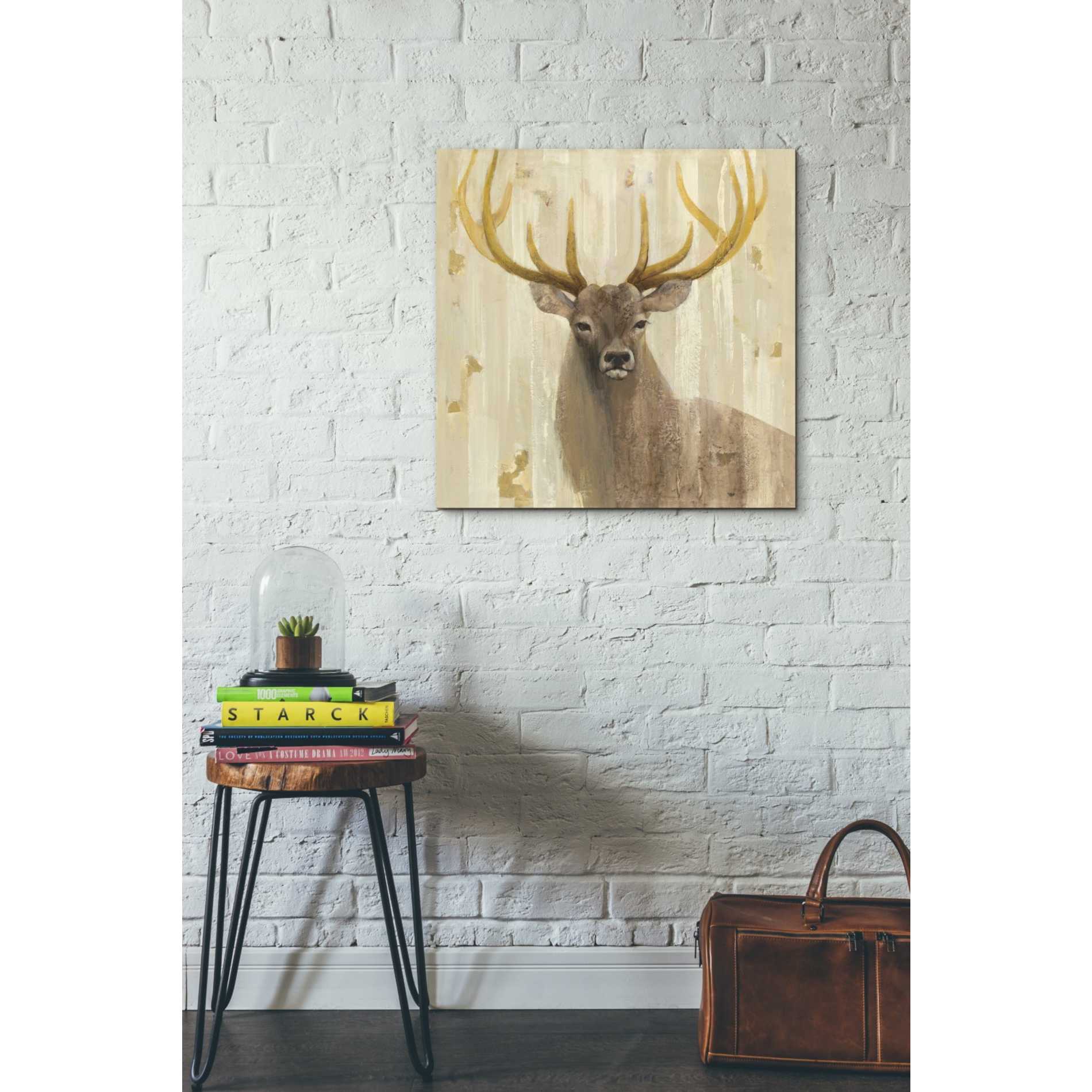 'Forest King' by Albena Hristova, Canvas Wall Art,26 x 26