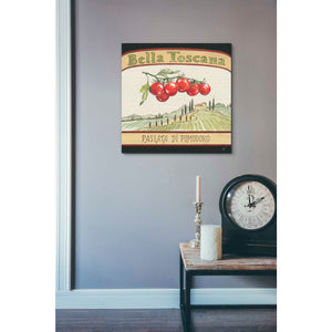 'Tuscan Flavor V' by Daphne Brissonet, Canvas Wall Art,26 x 26