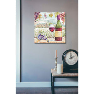 'Wine Country IV' by Daphne Brissonet, Canvas Wall Art,26 x 26