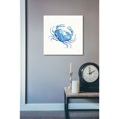 Image of 'Maritime X' by Daphne Brissonet, Canvas Wall Art,26 x 26