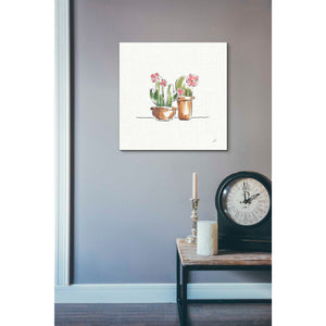 'Desert Bloom VI' by Daphne Brissonet, Canvas Wall Art,26 x 26