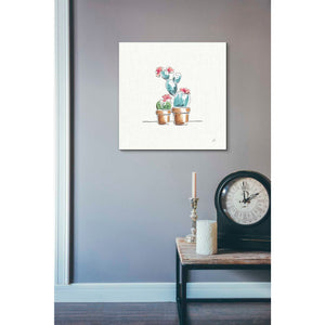 'Desert Bloom V' by Daphne Brissonet, Canvas Wall Art,26 x 26