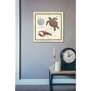 'Oceanography II' by Daphne Brissonet, Canvas Wall Art,26 x 26
