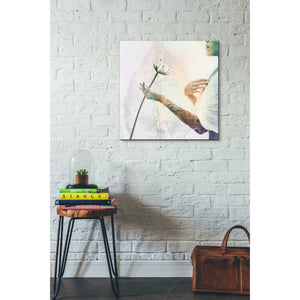 'Knowledge From The Heart' by Elena Ray Canvas Wall Art,26 x 26