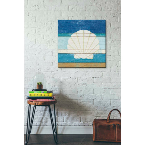 Image of 'Beachscape Shell v2' by Michael Mullan, Canvas Wall Art,26 x 26