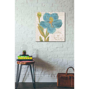 'Bookshelf Botanical VI' by Katie Pertiet, Canvas Wall Art,26 x 26