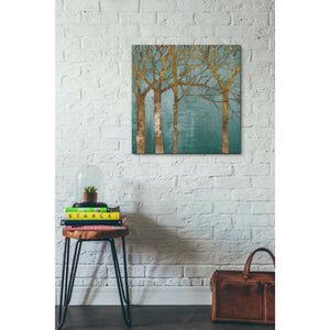 'Golden Day Turquoise' by Kathrine Lovell, Canvas Wall Art,26 x 26