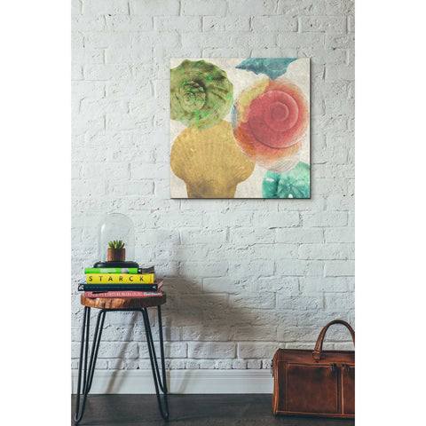 Image of 'Luminous Seashells 4' by Elena Ray Canvas Wall Art,26 x 26