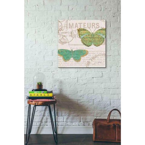Image of 'Bookshelf Botanical IX' by Katie Pertiet, Canvas Wall Art,26 x 26