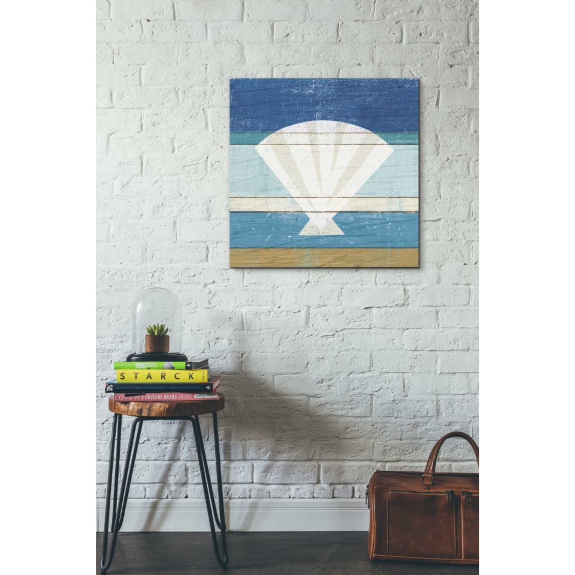 'Beachscape Shell' by Michael Mullan, Canvas Wall Art,26 x 26