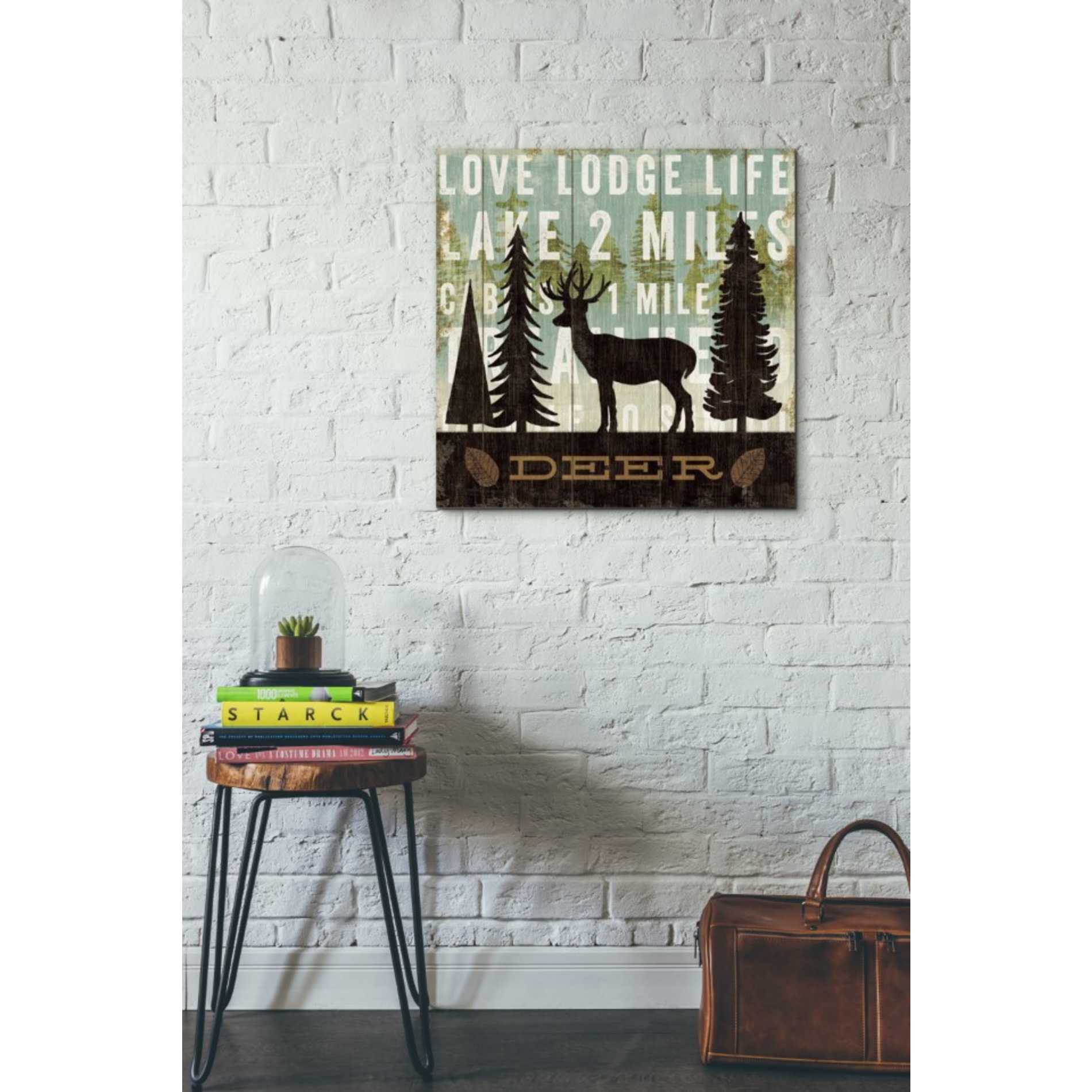 'Simple Living Deer' by Michael Mullan, Canvas Wall Art,26 x 26