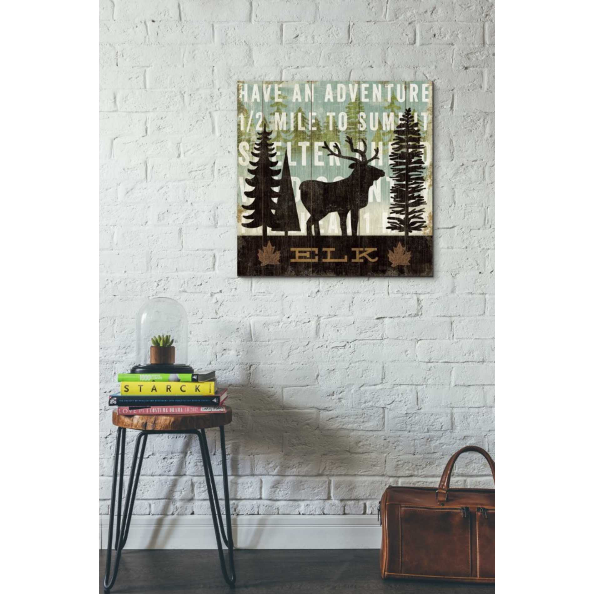 'Simple Living Elk' by Michael Mullan, Canvas Wall Art,26 x 26