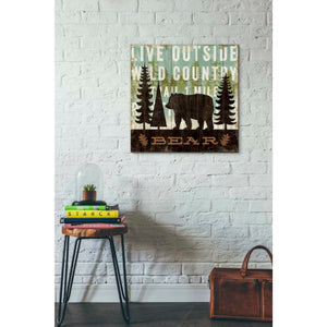 'Simple Living Bear' by Michael Mullan, Canvas Wall Art,26 x 26