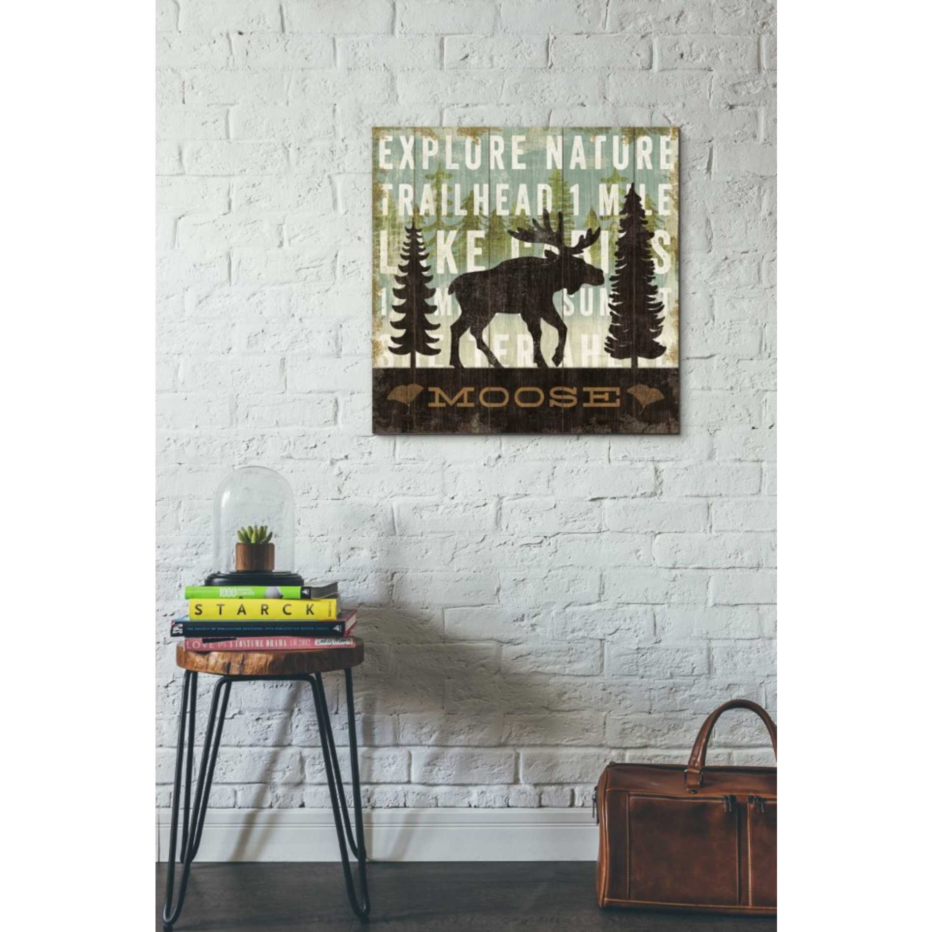 'Simple Living Moose' by Michael Mullan, Canvas Wall Art,26 x 26
