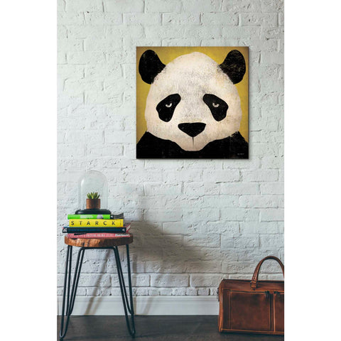 Image of 'Panda' by Ryan Fowler, Canvas Wall Art,26 x 26