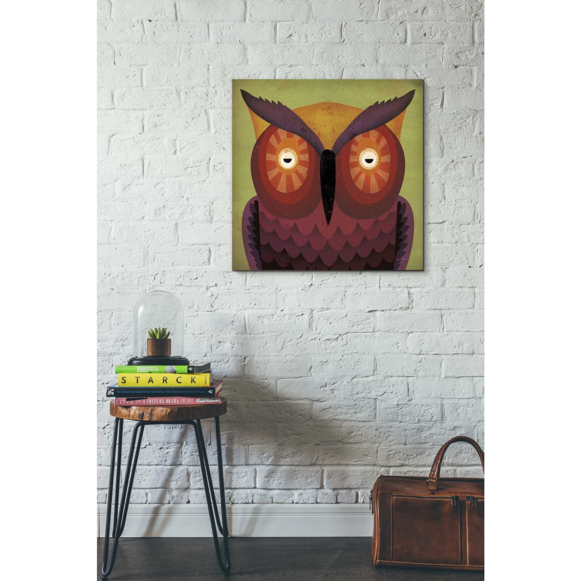 'Owl Wow' by Ryan Fowler, Canvas Wall Art,26 x 26