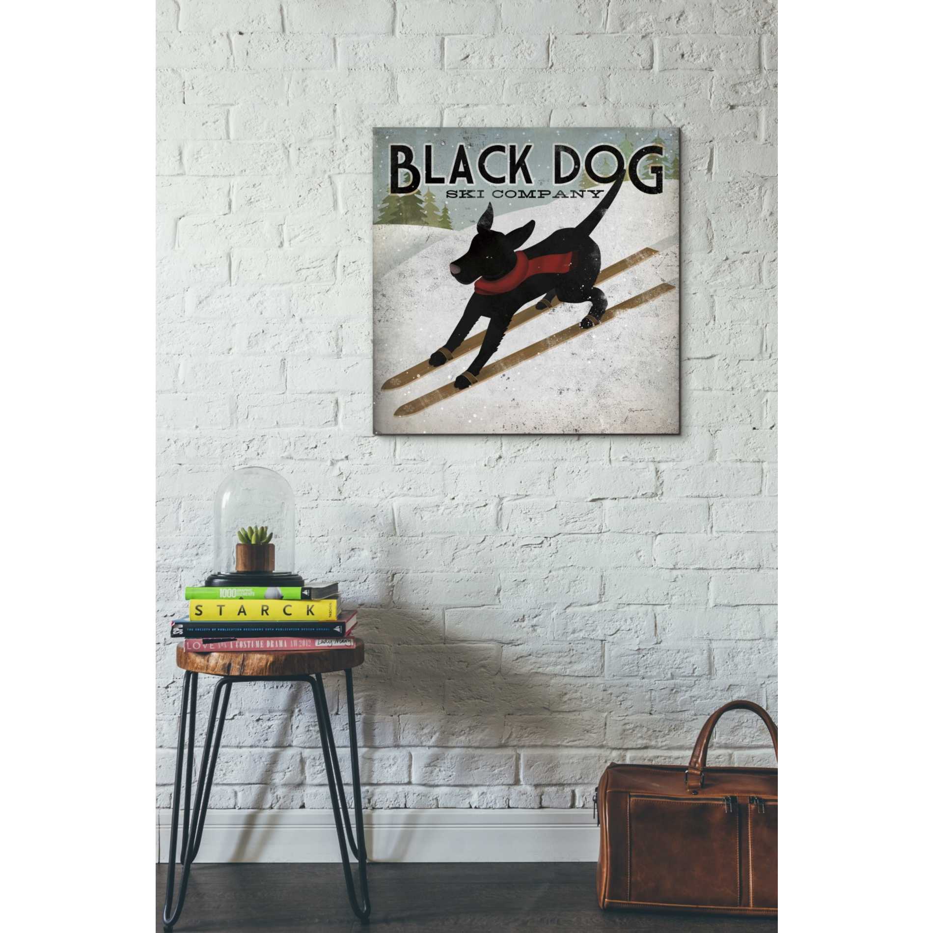 'Black Dog Ski' by Ryan Fowler, Canvas Wall Art,26 x 26