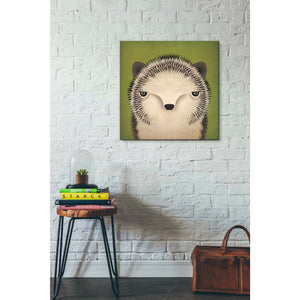 'Baby Hedgehog' by Ryan Fowler, Canvas Wall Art,26 x 26