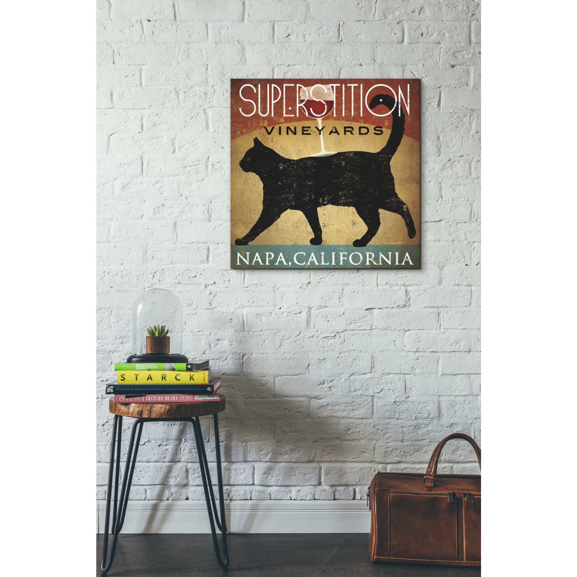 'Superstition Vineyards Cat' by Ryan Fowler, Canvas Wall Art,26 x 26