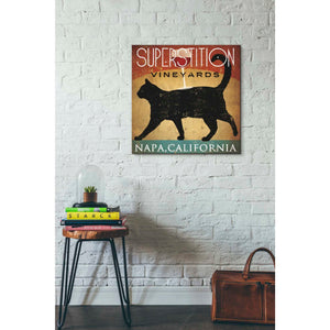 'Superstition Vineyards Cat' by Ryan Fowler, Canvas Wall Art,26 x 26