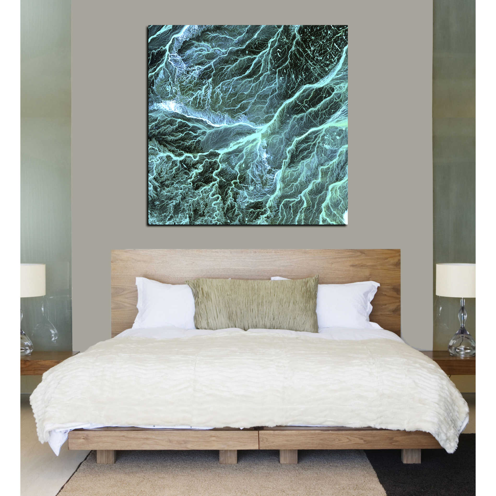'Earth As Art: Wadi Branches' Canvas Wall Art,26 x 26