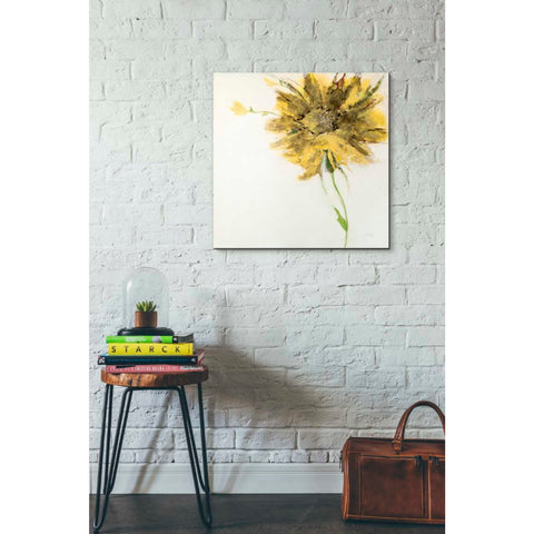 Image of 'Yellow Daisy on White' by Jan Griggs, Giclee Canvas Wall Art