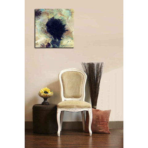 Image of 'Earth As Art: Lava Field' Canvas Wall Art