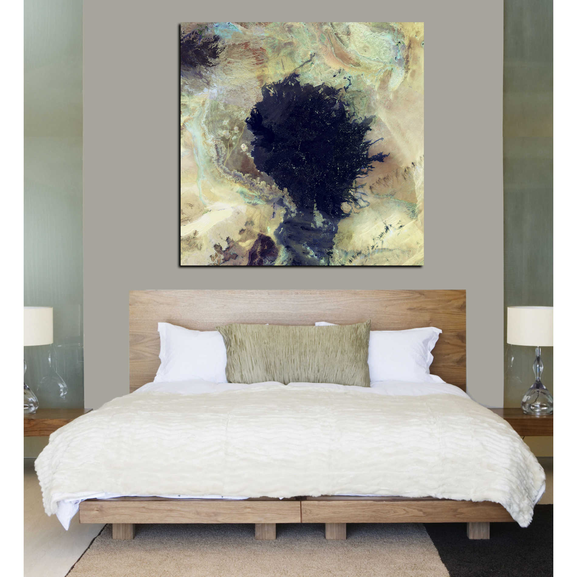 'Earth As Art: Lava Field' Canvas Wall Art